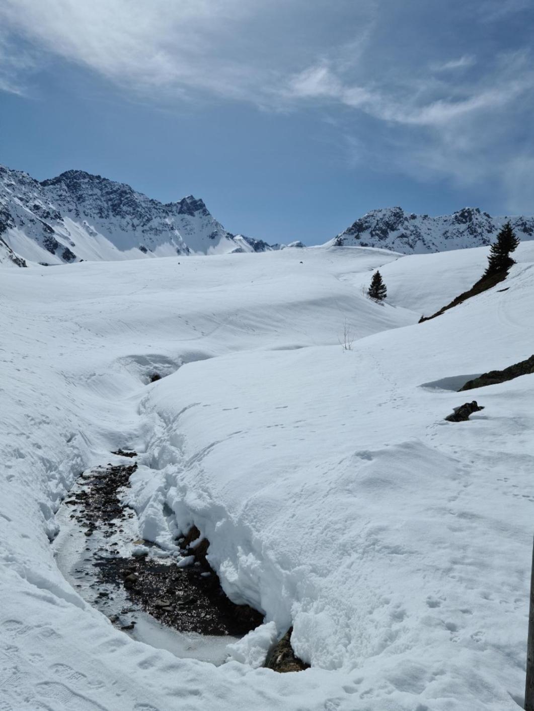 Fewo D'Rock Arosa- Center Of Nightlife By Nature Apartments Switzerland Екстериор снимка