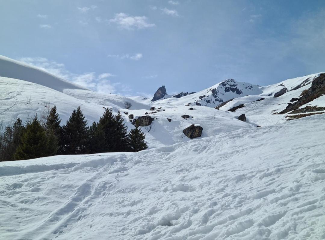 Fewo D'Rock Arosa- Center Of Nightlife By Nature Apartments Switzerland Екстериор снимка