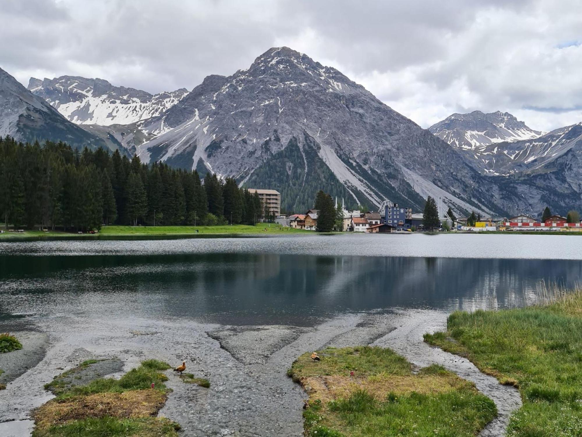 Fewo D'Rock Arosa- Center Of Nightlife By Nature Apartments Switzerland Екстериор снимка